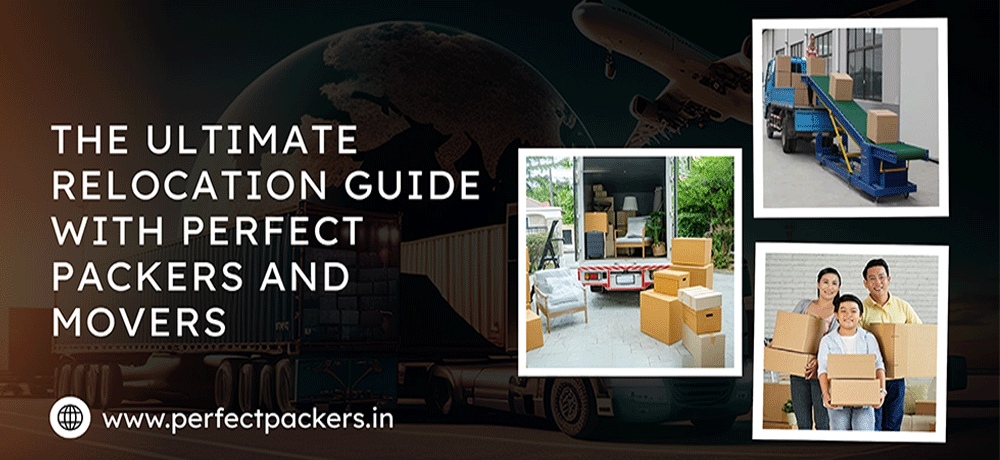 MBBS in Russia Consultancy
